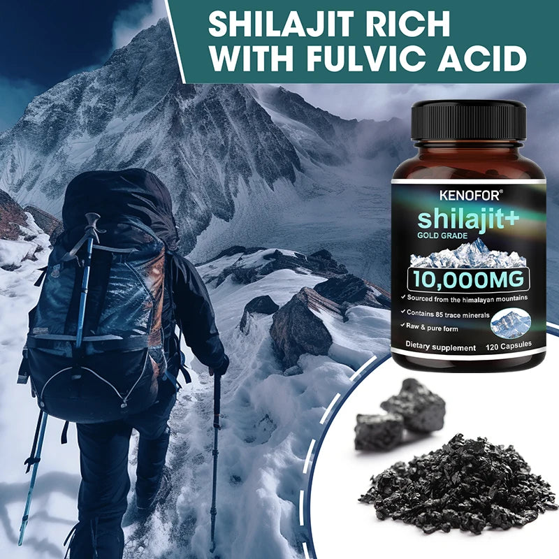 Himilaya Vital Shilajit Natural Capsules