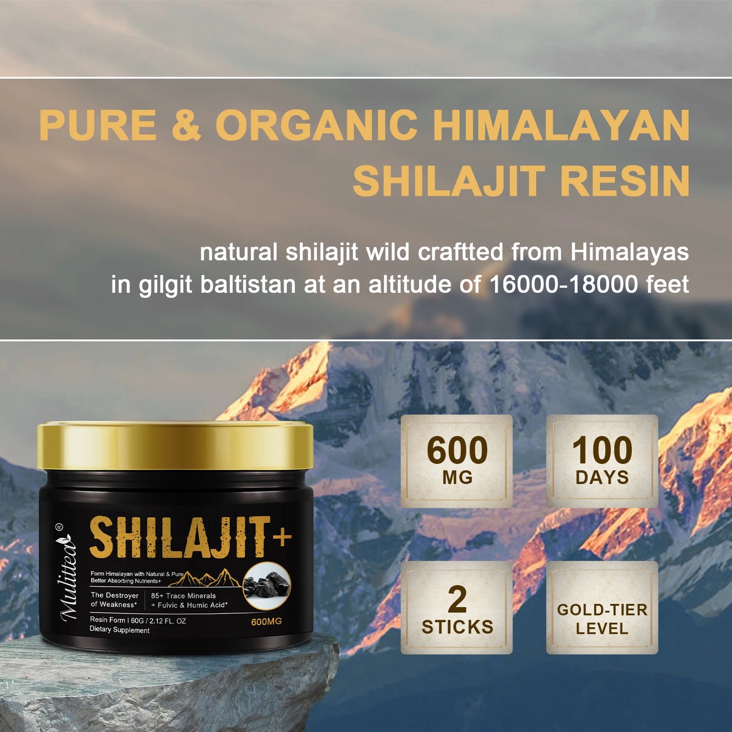 HimalayaVital Natural Shilajit Resin