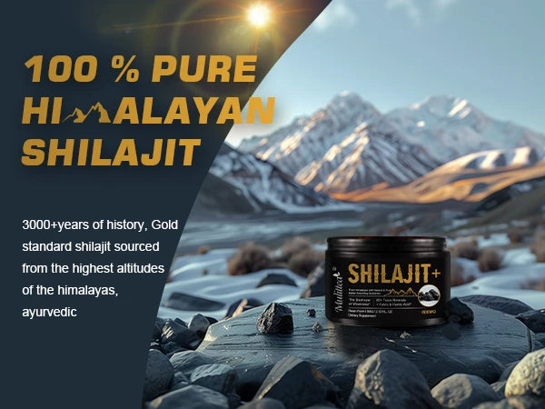 HimalayaVital Natural Shilajit Resin