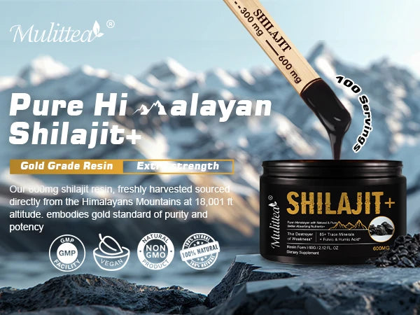 HimalayaVital Natural Shilajit Resin